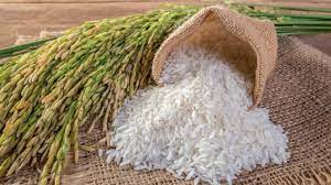 Dünyaca Ünlü Kastamonu Tosya Pirincinin Özelliği ve Faydaları Nelerdir? (Şeker Oranı Yüksek midir?)