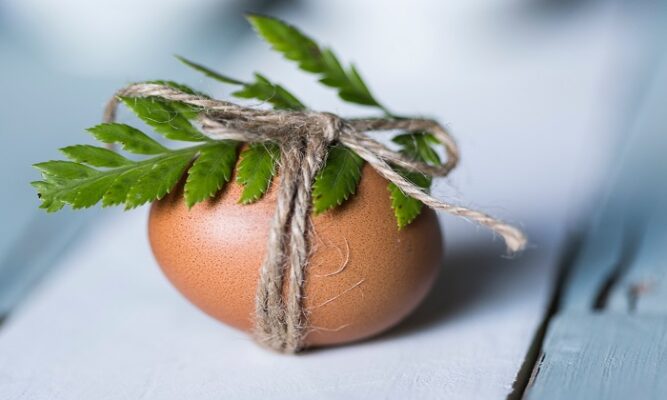 Yumurtanın Sağlığa 5 Faydası