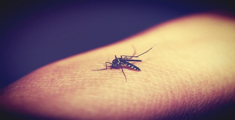 Sivrisinekler neden beni hep ısırırlar? Sivrisinek saldırılarını durdurmanın 10 yolu