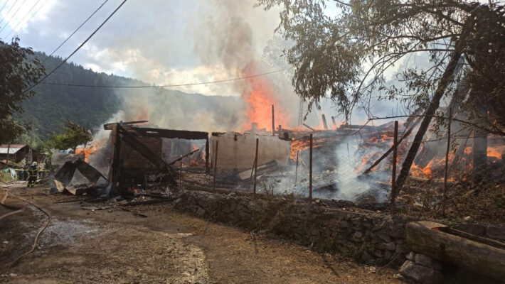 Tosya’da köy yandı: Yangın gece yarısı kontrol altına alındı
