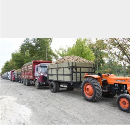 Kastamonu Şeker Fabrikası’nın 60’ıncı Pancar Alım Kampanyası Başladı