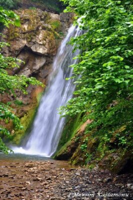 Görülmesi Gereken Muhteşem Bir Doğal Güzellik: Kastamonu Şenpazar Poyracık Şelalesi