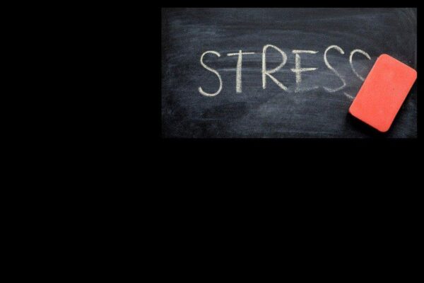 Stresle Başa Çıkma Yolları: Sağlıklı Bir Yaşam İçin Öneriler