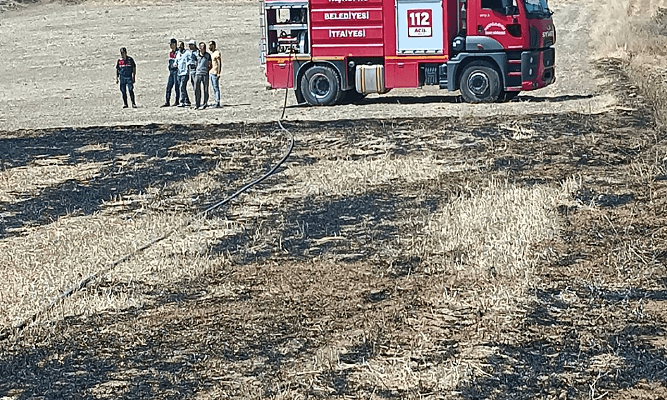 Kastamonu’da anız yangını