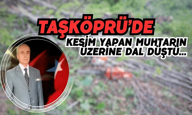 Kastamonu’da üzerine dal düşen muhtar yaralandı!