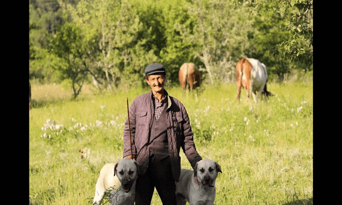 Kastamonu’da Yaşlı Adamın Cesedi Tarlada Bulundu