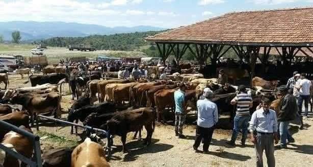 Kastamonu’da Kurban Öncesi Şap Alarmı: Hayvan Pazarı Geçici Süreyle Kapatıldı