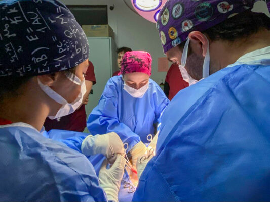 Kastamonu Üniversitesi Hayvan Hastanesi Çok Farklı
