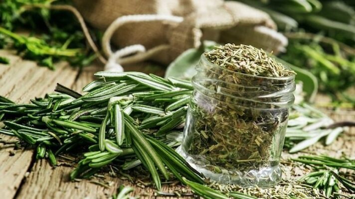 Biberiye Nedir? Biberiye Çayının Faydaları ve Olası Zararları
