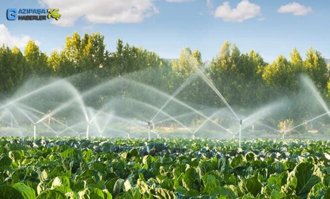 Kastamonu’da Biriken Sorunlara Sert Çıkış: “Bitmeyen Yol Eziyettir, Üretici Can Çekişiyor”