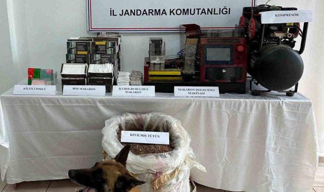 Kastamonu’da Jandarmadan Dev Operasyon: Silah, Kaçak Ürün ve Aranan Şahıslar Tek Tek Yakalandı