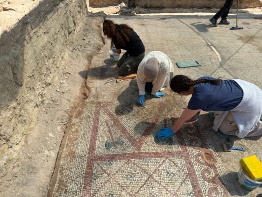 Son Dakika: Pompeiopolis’te Tarihi Keşif! 105 Metrekarelik Mozaik Ve Eros Başı Gün Yüzüne Çıktı