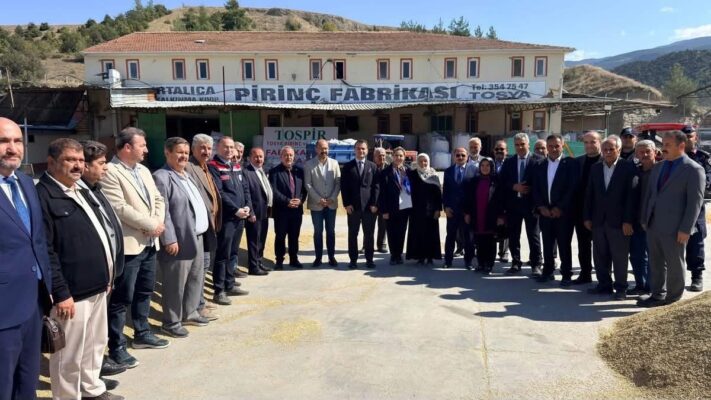 Kastamonu Tosya’da Altın Başaklar Biçildi: Pirincin Bereketi Tarladan Fabrikaya Taşındı