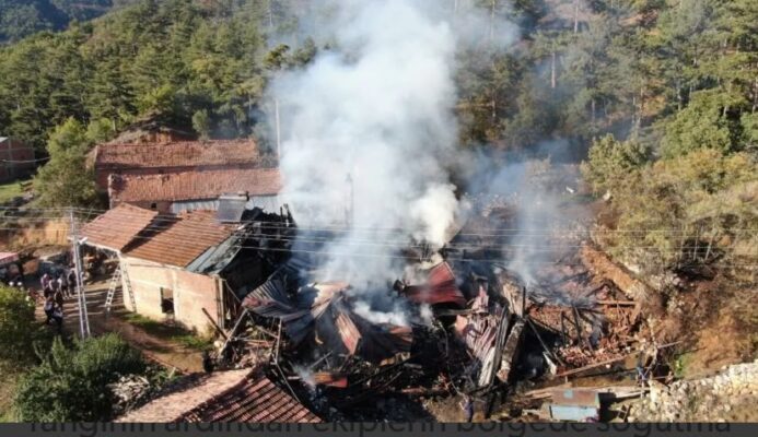 Taşköprü’de Alevler Evi Yuttu, Orman Son Anda Korundu: Yangının Bilançosu Ağır