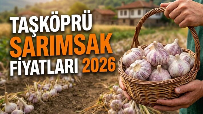 Taşköprü Sarımsak Fiyatları 2026: Güncel Pazar ve Toptan Fiyatlar